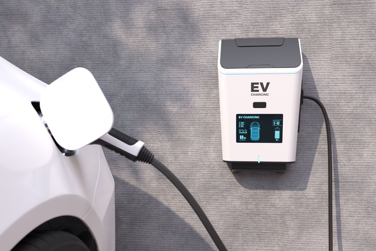 untitled design 111